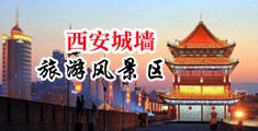 中出内射裸体在线观看中国陕西-西安城墙旅游风景区